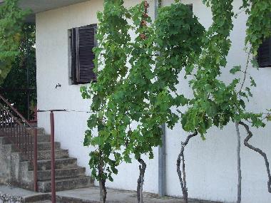 Ferienhaus in Poljica (Splitsko-Dalmatinska) oder Ferienwohnung oder Ferienhaus
