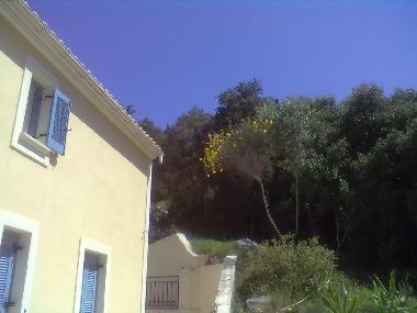 Villa in Antipata (Kefallinia) oder Ferienwohnung oder Ferienhaus