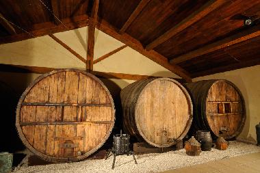 La Yole ist Weinproduzent