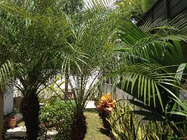Pension in Playa del Carmen (Quintana Roo) oder Ferienwohnung oder Ferienhaus
