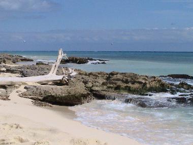 Pension in Playa del Carmen (Quintana Roo) oder Ferienwohnung oder Ferienhaus
