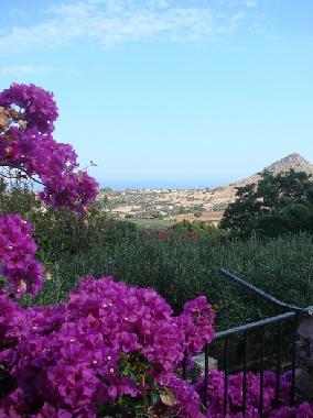 Villa in Castellammare del Golfo (Trapani) oder Ferienwohnung oder Ferienhaus