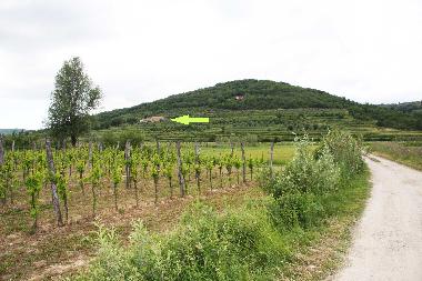 Ferienhaus in Secovlje (Piran) oder Ferienwohnung oder Ferienhaus