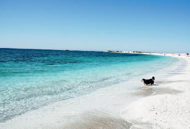 Ferienwohnung in Cabras (Oristano) oder Ferienwohnung oder Ferienhaus