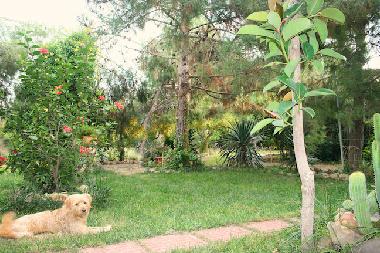 Ferienwohnung in Cabras (Oristano) oder Ferienwohnung oder Ferienhaus