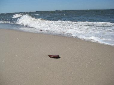 Ferienhaus in Dźwirzyno  (Zachodniopomorskie) oder Ferienwohnung oder Ferienhaus