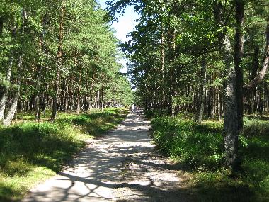 Ferienhaus in Dźwirzyno  (Zachodniopomorskie) oder Ferienwohnung oder Ferienhaus