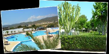 Ferienwohnung in campello (Alicante / Alacant) oder Ferienwohnung oder Ferienhaus