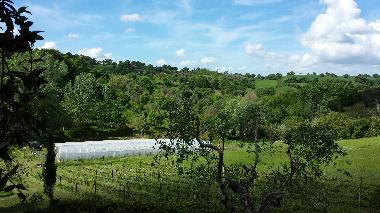 Ferienwohnung in Montemerano (Grosseto) oder Ferienwohnung oder Ferienhaus