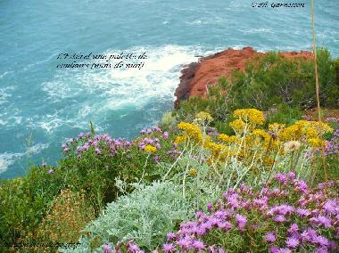 Ferienwohnung in Th�oule sur Mer (Alpes-Maritimes) oder Ferienwohnung oder Ferienhaus