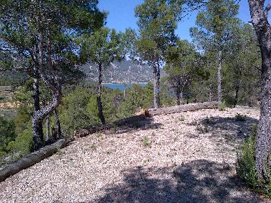 Sicht von der Terrasse