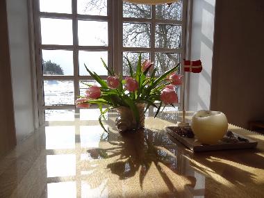 Ferienhaus in N�sby (Nordjylland) oder Ferienwohnung oder Ferienhaus