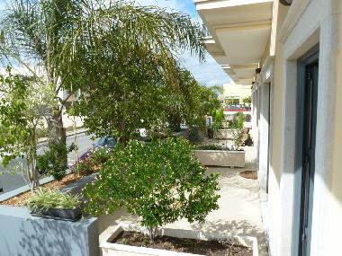 Ferienhaus in Albufeira (Algarve) oder Ferienwohnung oder Ferienhaus