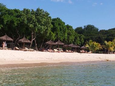 Villa in Albion (Black River) oder Ferienwohnung oder Ferienhaus