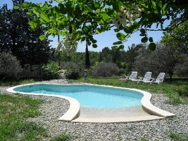Villa in Saint-Maximin (Var) oder Ferienwohnung oder Ferienhaus