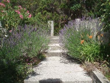 Ferienwohnung in Rab (Primorsko-Goranska) oder Ferienwohnung oder Ferienhaus