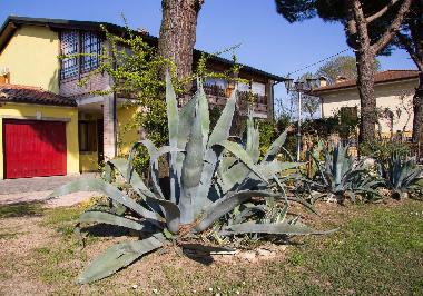Ferienwohnung in Montegrotto Terme (Padova) oder Ferienwohnung oder Ferienhaus