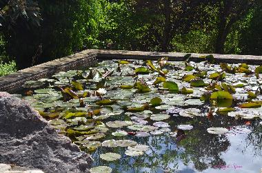 Ferienhaus in Dions (Gard) oder Ferienwohnung oder Ferienhaus