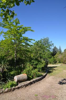 Ferienhaus in Dions (Gard) oder Ferienwohnung oder Ferienhaus