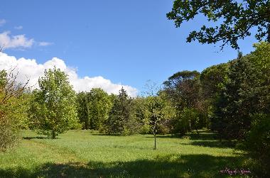 Ferienhaus in Dions (Gard) oder Ferienwohnung oder Ferienhaus