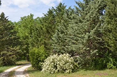 Ferienhaus in Dions (Gard) oder Ferienwohnung oder Ferienhaus
