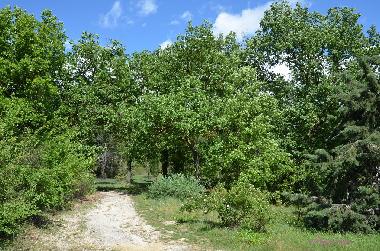 Ferienhaus in Dions (Gard) oder Ferienwohnung oder Ferienhaus