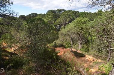 Ferienhaus in Dions (Gard) oder Ferienwohnung oder Ferienhaus