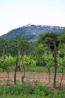 Ferienhaus in Secovlje (Piran) oder Ferienwohnung oder Ferienhaus