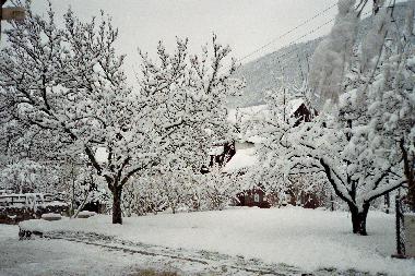 Ferienwohnung in Grandval (La Chaux-de-Fonds) oder Ferienwohnung oder Ferienhaus