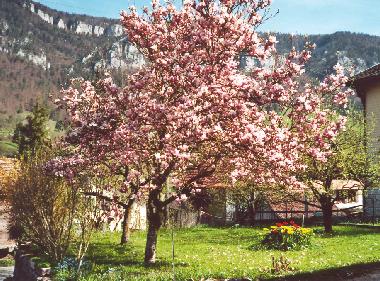 Ferienwohnung in Grandval (La Chaux-de-Fonds) oder Ferienwohnung oder Ferienhaus