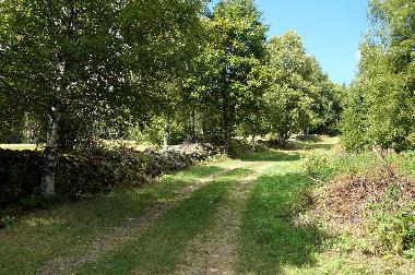 Weg vor dem Haus (Anstieg auf kleinen Berg ins Naturschutzgebiet)