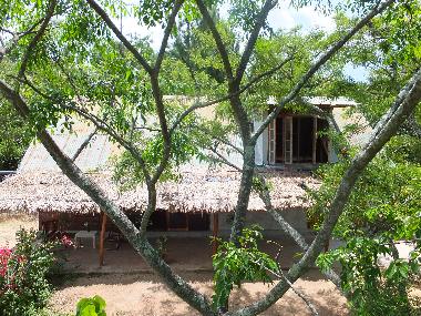 Pension in kandy (Kandy) oder Ferienwohnung oder Ferienhaus
