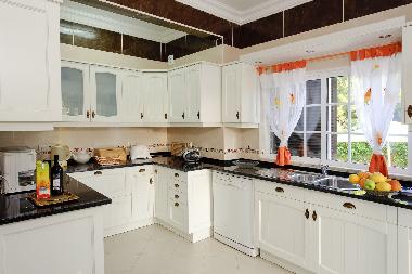 Villa in Albufeira (Algarve) oder Ferienwohnung oder Ferienhaus