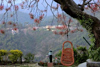 Ferienhaus in Kasauli (Himachal Pradesh) oder Ferienwohnung oder Ferienhaus