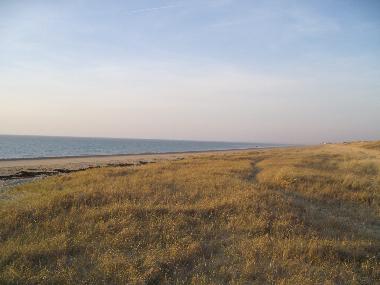 Ferienhaus in brville sur mer  (Manche) oder Ferienwohnung oder Ferienhaus