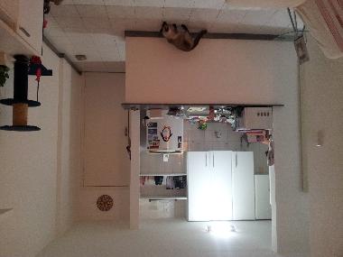 Ferienwohnung in salvador (Bahia) oder Ferienwohnung oder Ferienhaus