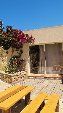 Villa in corbara (Haute-Corse) oder Ferienwohnung oder Ferienhaus