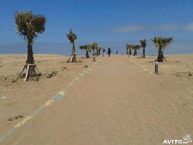 Ferienwohnung in CASABLANCA (Casablanca) oder Ferienwohnung oder Ferienhaus