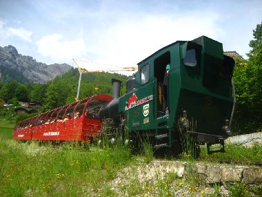 Freizeitsaktivit�t direkt ab Brienz: Rothorn-Bahn