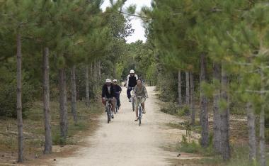 Ferienwohnung in Saint Jean de Monts (Vend�e) oder Ferienwohnung oder Ferienhaus