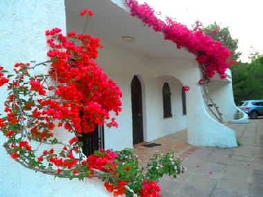 Villa in Torre delle stelle (Cagliari) oder Ferienwohnung oder Ferienhaus