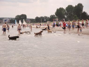 Hundestrand Scharbeutz