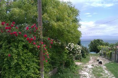 Ferienhaus in Balchik (Dobrich) oder Ferienwohnung oder Ferienhaus