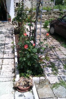 Ferienhaus in Balchik (Dobrich) oder Ferienwohnung oder Ferienhaus
