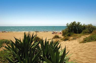 Ferienhaus in Serignan (H�rault) oder Ferienwohnung oder Ferienhaus