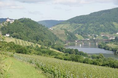 Marienburg und Blick auf Alf