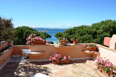 Unsere Terrasse mit bl�henden Geranien