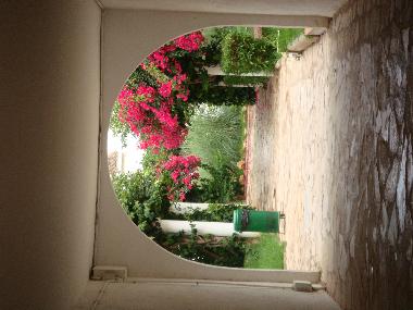 Ferienwohnung in alcossebre (Castell�n / Castell�) oder Ferienwohnung oder Ferienhaus