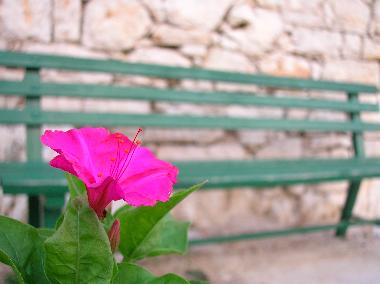 Ferienwohnung in Kaprije (Sibensko-Kninska) oder Ferienwohnung oder Ferienhaus