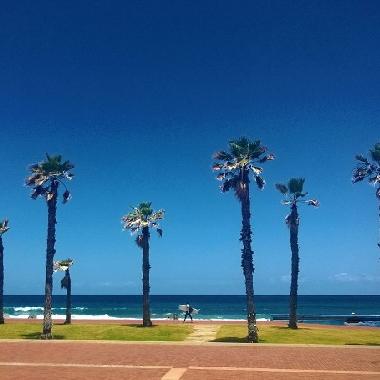 Ferienwohnung in las palmas de gran canaria (Gran Canaria) oder Ferienwohnung oder Ferienhaus